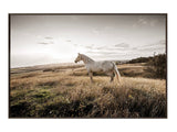 Colbert Brown/Natural Wall Art - Ornate Home