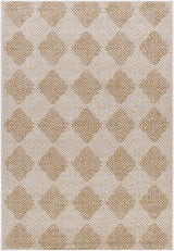 Collen Outdoor Area Rug - Ornate Home