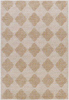 Collen Outdoor Area Rug - Ornate Home