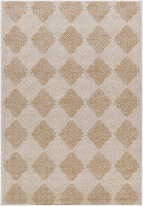 Collen Outdoor Area Rug - Ornate Home