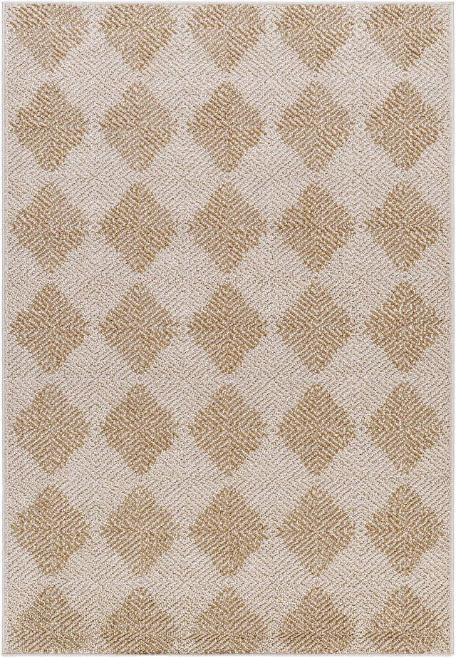 Collen Outdoor Area Rug - Ornate Home