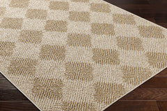 Collen Outdoor Area Rug - Ornate Home