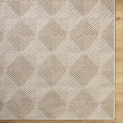 Collen Outdoor Area Rug - Ornate Home