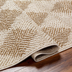 Collen Outdoor Area Rug - Ornate Home