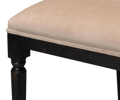 Colonial Black Cane Back Side Chair (Set of 2) - Ornate Home