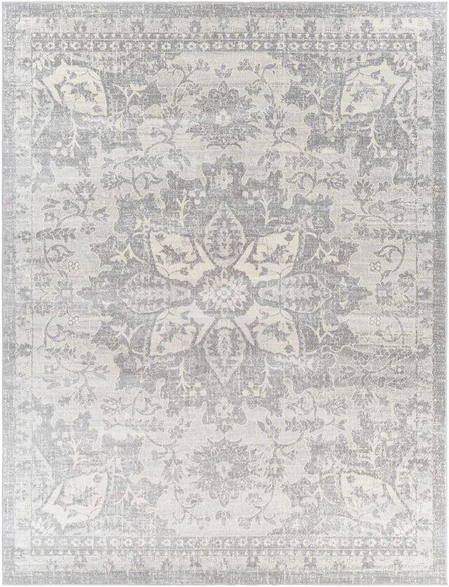 Colonie Area Rug - Ornate Home