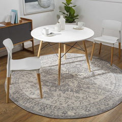 Colonie Area Rug - Ornate Home
