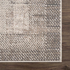 Colson Sage Area Rug - Ornate Home