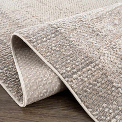 Colson Sage Area Rug - Ornate Home