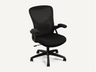 Comfy Office Chair with Ergonomic Back Support and Flip-up Arm Rest - Ornate Home