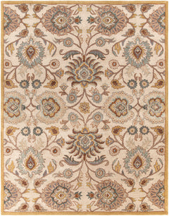 Conesus Hand Tufted Tan 1012 Area Rug - Ornate Home