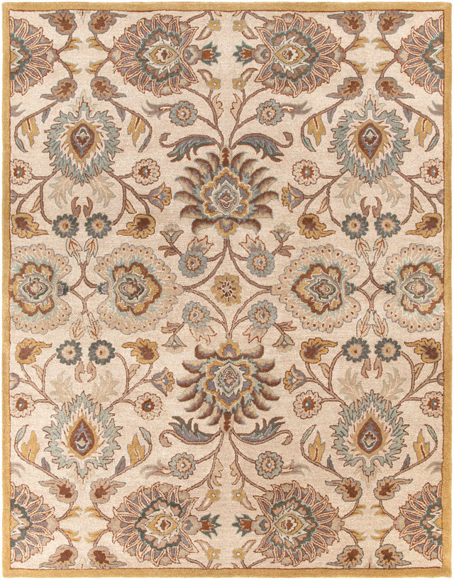 Conesus Hand Tufted Tan 1012 Area Rug - Ornate Home