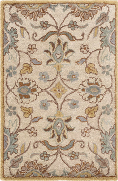 Conesus Hand Tufted Tan 1012 Area Rug - Ornate Home