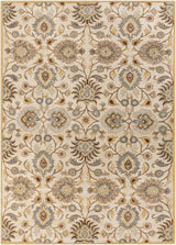 Conesus Hand Tufted Tan 1012 Area Rug - Ornate Home