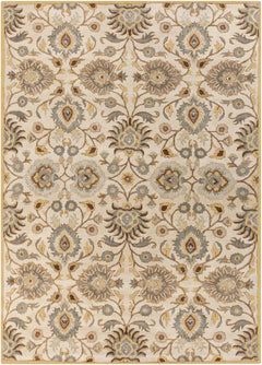 Conesus Hand Tufted Tan 1012 Area Rug - Ornate Home