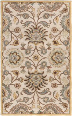 Conesus Hand Tufted Tan 1012 Area Rug - Ornate Home