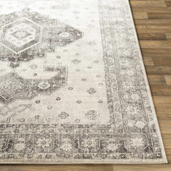 Congress Area Rug - Clearance - Ornate Home