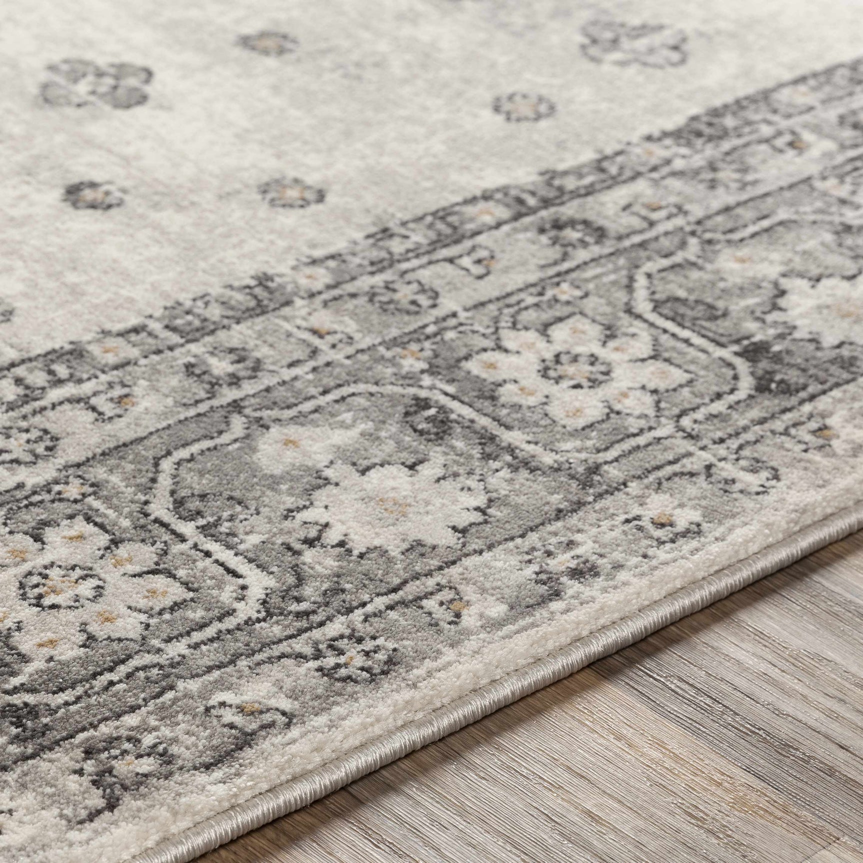 Congress Area Rug - Clearance - Ornate Home