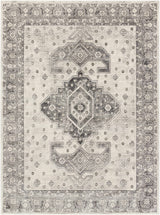 Congress Area Rug - Clearance - Ornate Home