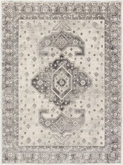 Congress Area Rug - Clearance - Ornate Home