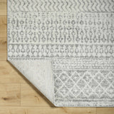Constantin Gray Area Rug - Ornate Home