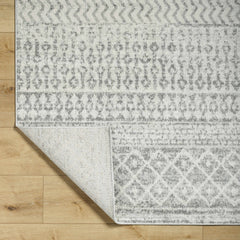 Constantin Gray Area Rug - Ornate Home