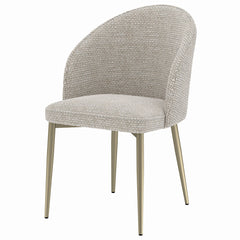 Cora Champagne Side Chair (Set of 2) - Ornate Home