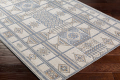 Coryn Area Rug - Clearance - Ornate Home