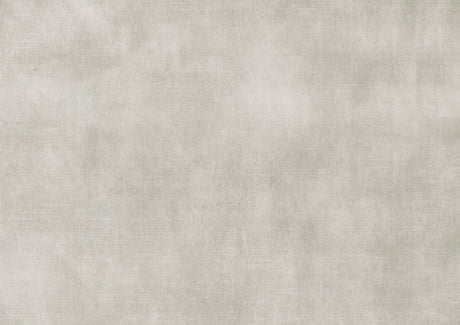 Cosimo Beige Side Chair (Set of 2) - Ornate Home