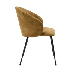 Cosimo Mustard Side Chair (Set of 2) - Ornate Home
