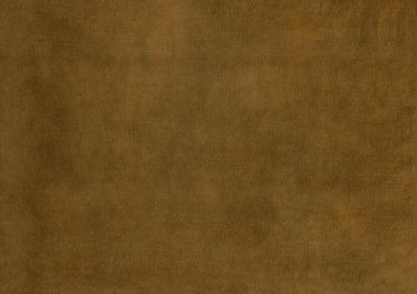 Cosimo Mustard Side Chair (Set of 2) - Ornate Home