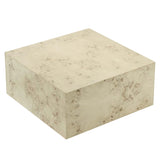 Cosmos Bleached 36" Square Burl Wood Coffee Table - Ornate Home