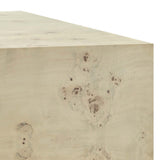 Cosmos Bleached 36" Square Burl Wood Coffee Table - Ornate Home