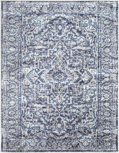 Costigan Traditional Navy Rug - Ornate Home