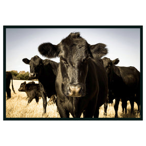 Cow Black Photography 48x72 - Ornate Home