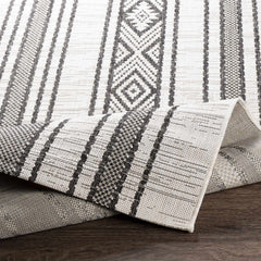 Cowen Outdoor Area Rug - Clearance - Ornate Home