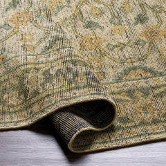 Coylton Area Rug - Clearance - Ornate Home
