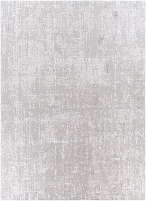 Cozahome Faux Silk Rug - Ornate Home