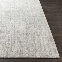 Cozahome Faux Silk Rug - Ornate Home