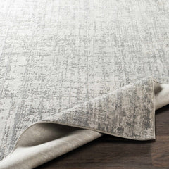 Cozahome Faux Silk Rug - Ornate Home