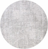 Cozahome Faux Silk Rug - Ornate Home