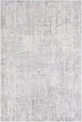Cozahome Faux Silk Rug - Ornate Home