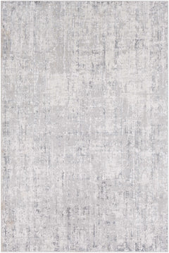 Cozahome Faux Silk Rug - Ornate Home