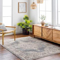 Crea Gray Zola Area Rug - Clearance - Ornate Home