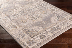 Cream Brown Zola Area Rug - Clearance - Ornate Home