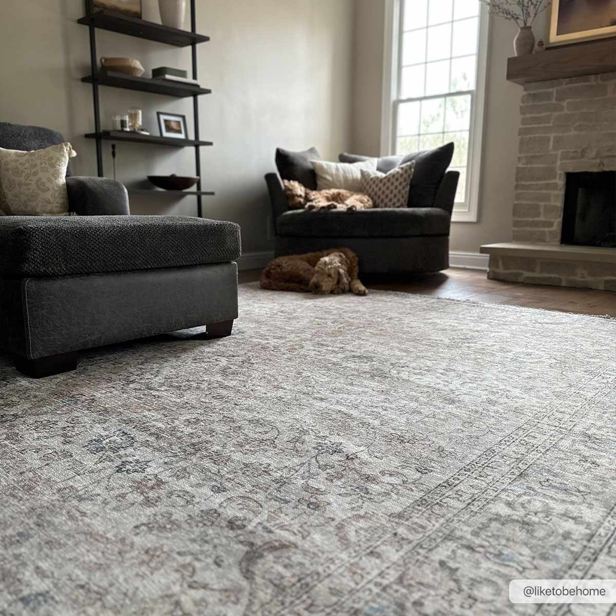 Cream Holi-2301 Washable Area Rug - Ornate Home