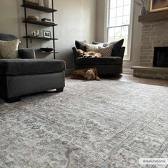 Cream Holi-2301 Washable Area Rug - Ornate Home