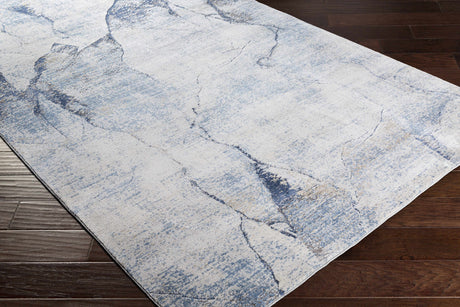 Creighton Blue Marble Textured Luxe Rug - Ornate Home