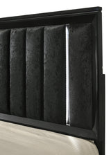 Cressida Black King Upholstered LED Panel Bed - Ornate Home