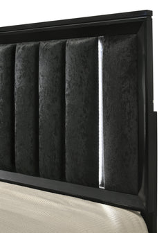 Cressida Black Queen Upholstered LED Panel Bed - Ornate Home